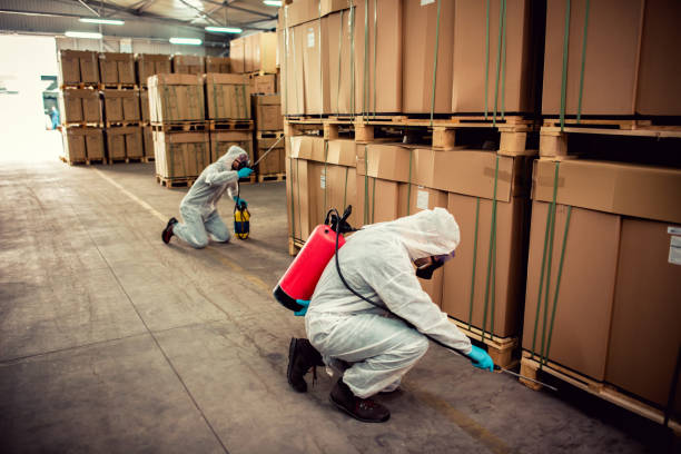 Best Bed Bug Extermination  in Ilion, NY