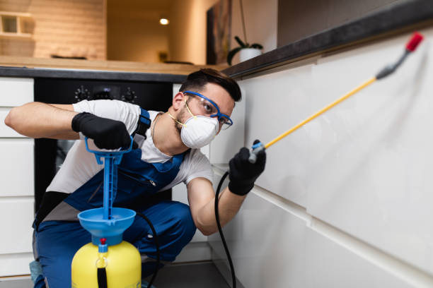 Best Wasp Removal Services  in Ilion, NY