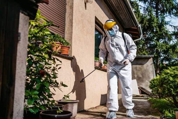 Best Termite Control Services  in Ilion, NY