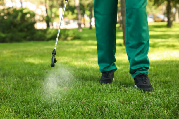 Best Flea Control Services  in Ilion, NY