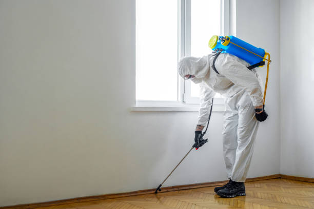 Best Commercial Pest Control Services  in Ilion, NY
