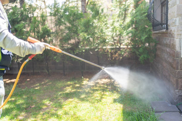 Best Emergency Pest Control  in Ilion, NY