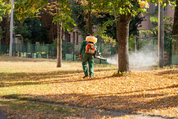 Best Best Pest Control Companies  in Ilion, NY