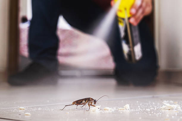 Best Pest Prevention Services  in Ilion, NY