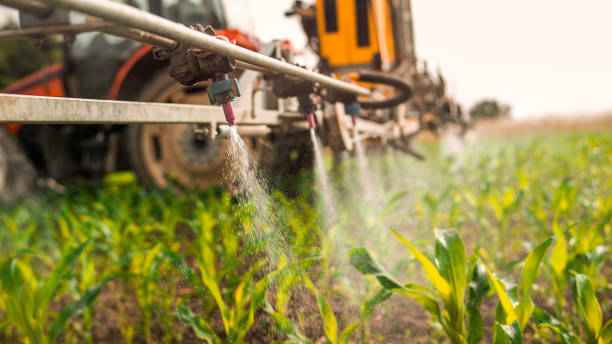 Best Pest Removal Services  in Ilion, NY